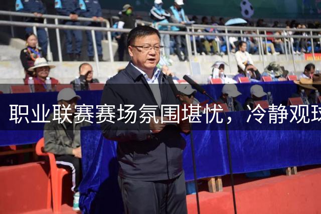 职业联赛赛场氛围堪忧，冷静观球何时成常态？